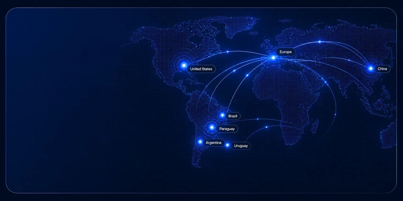 AMY KING global market network